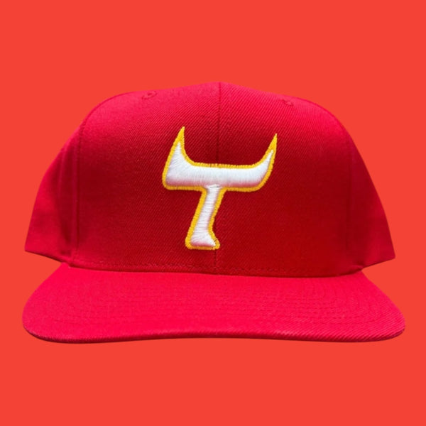 Vintage Tucson Toros Deadstock  SnapBack 2005 era